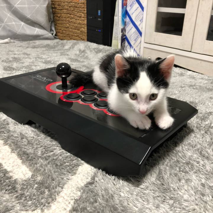 1308ad59 9b26 4535 8593 ff30d60bd851 1660469251803