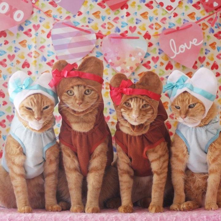 1308d20a 605f 4044 84d7 76ca01cd4350 1707867044447