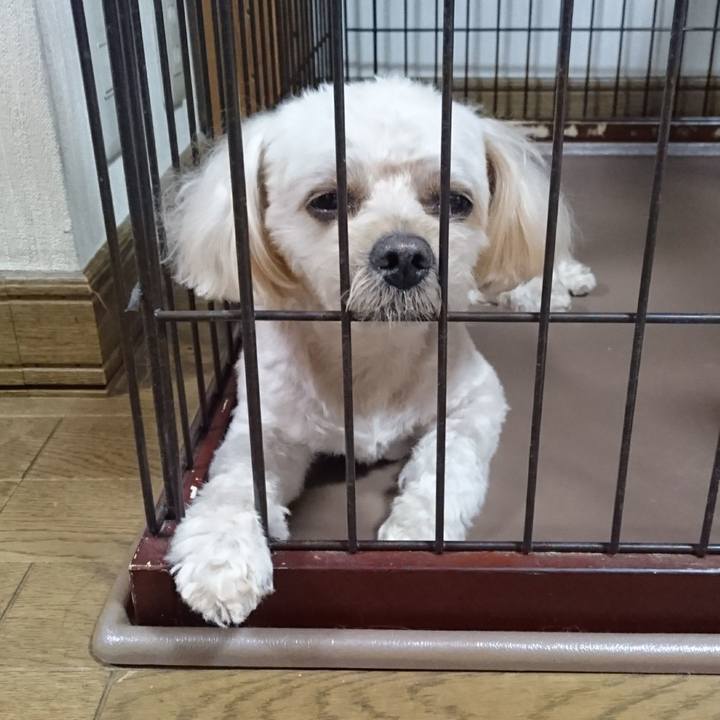 1308e1dd 4fed 401a 8af3 ad3b40bfcfbf 1565476490914