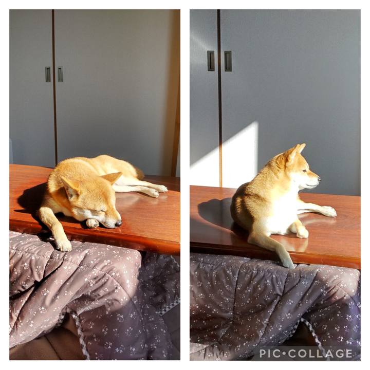 1308f55f eed1 40f2 99b0 ed144c779193 1700627705178