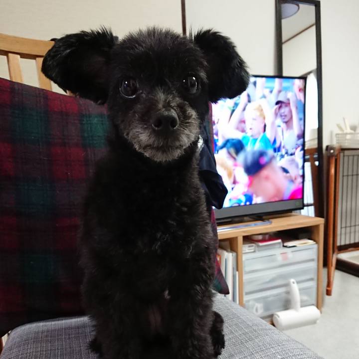 130909b7 dd68 47ed aeba 36cbb5ff7307 1530266069722