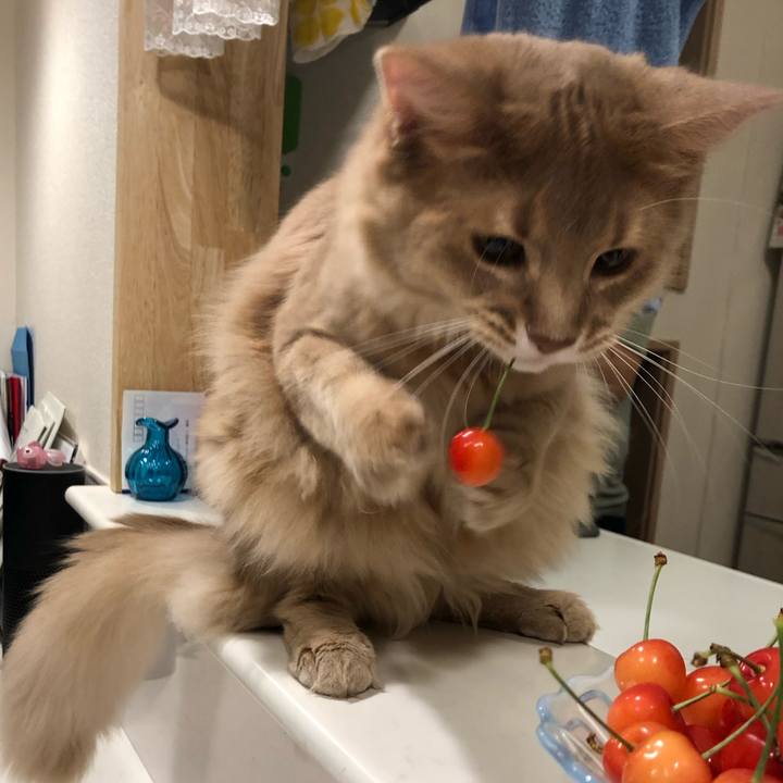 13092abc 4f75 49c8 830f e5c77a8baadb 1561071188201