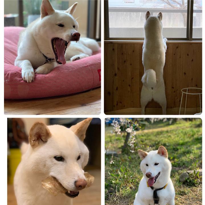 13094d9a dc74 4689 9c81 8d8aea477ea5 1660261917483