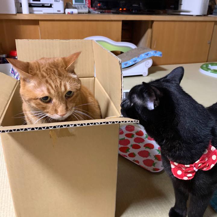 130955cd 0deb 4674 9a67 d5a89a087390 1592436375500