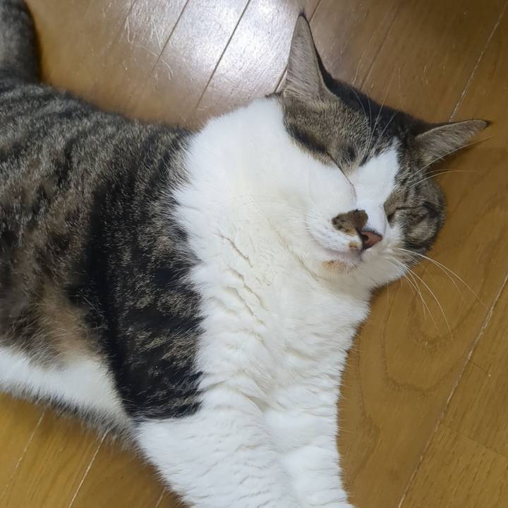 130964a1 8e09 4094 989b caaf9454edd4 1757244345751