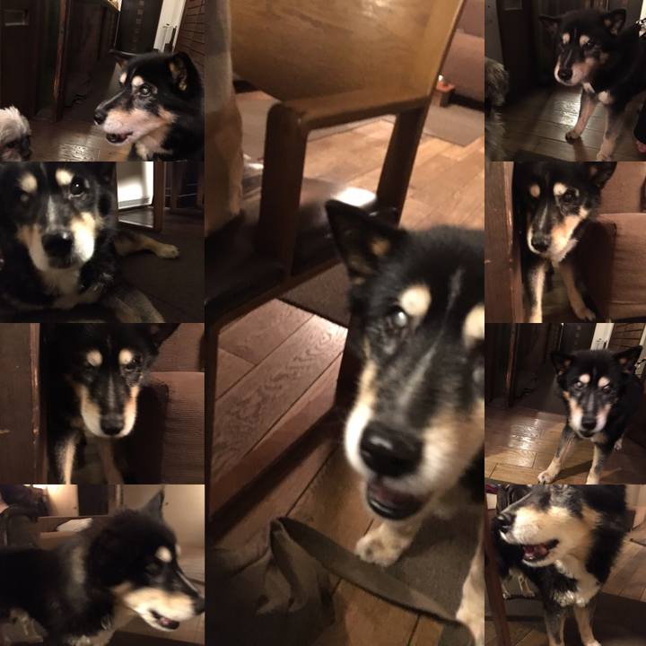 13097316 2a40 4af5 9a9c c4c585ff13eb 1555988445746