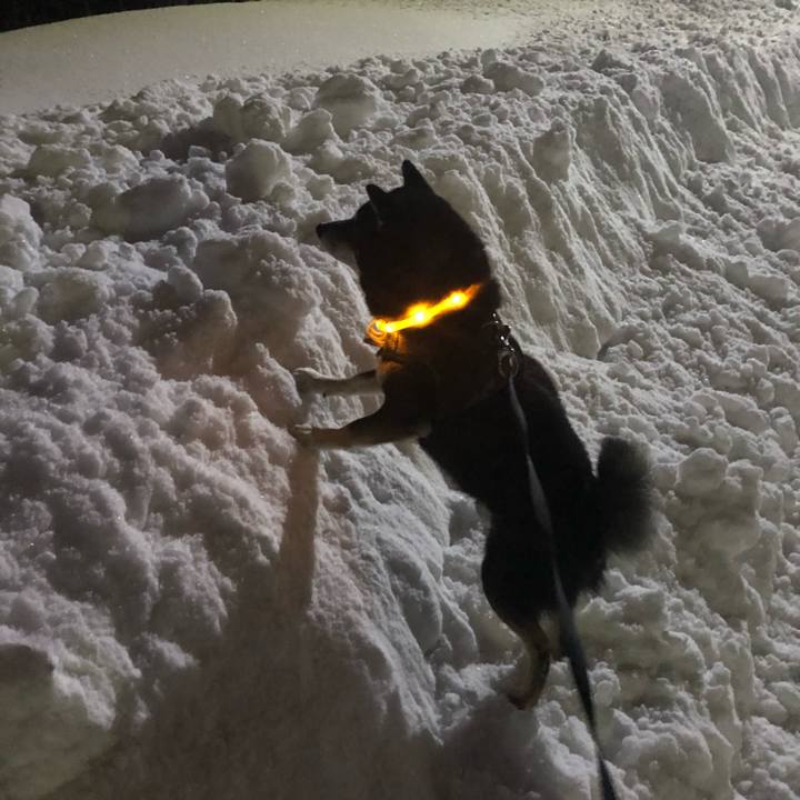 13097564 1398 4704 9f6d 6a7c3518ce6b 1612147324821