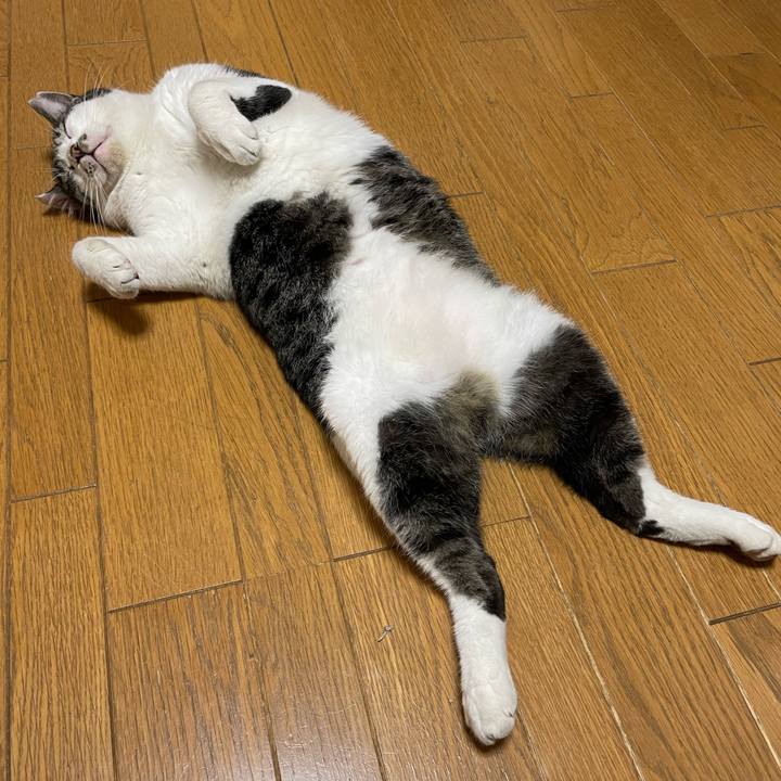 13098c54 1df4 45c6 843e 3dce4819f8a5 1663050201963