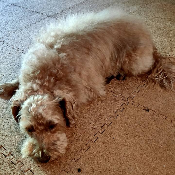 1309acb0 a654 4b79 a2a0 f377158e406a 1589751304234