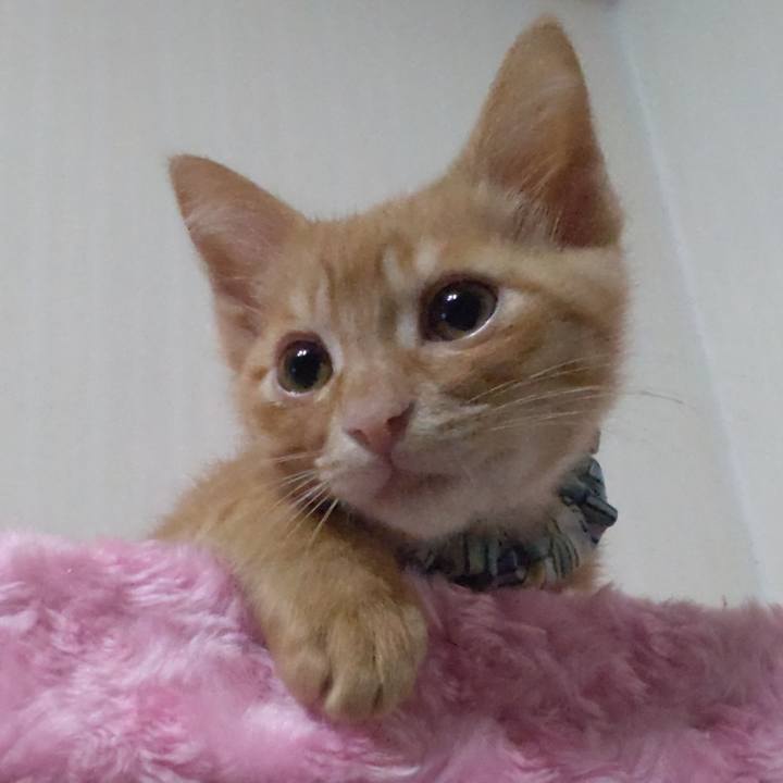 1309c3b6 2362 4152 b848 653505b7b1ab 1670974196303