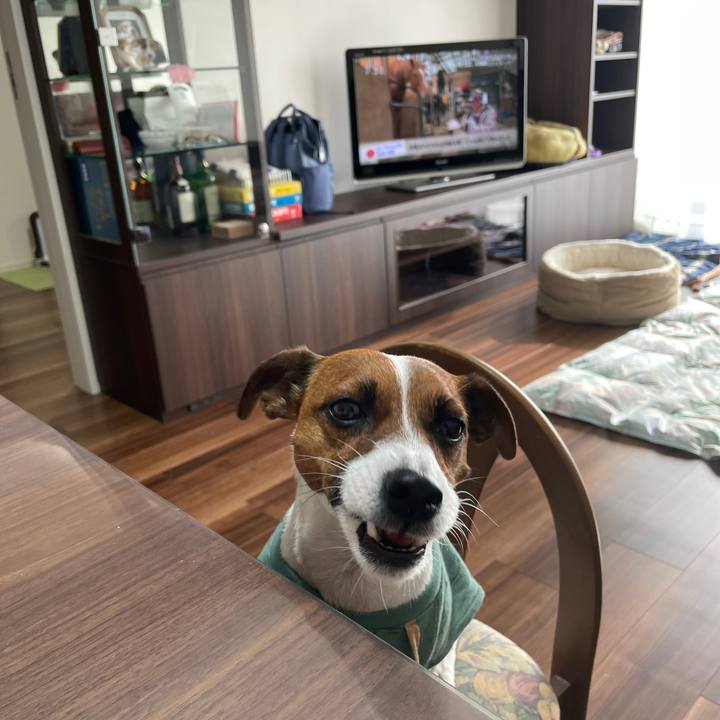 1309e66d 2a48 4228 b1d8 94528ed44c37 1649631401178