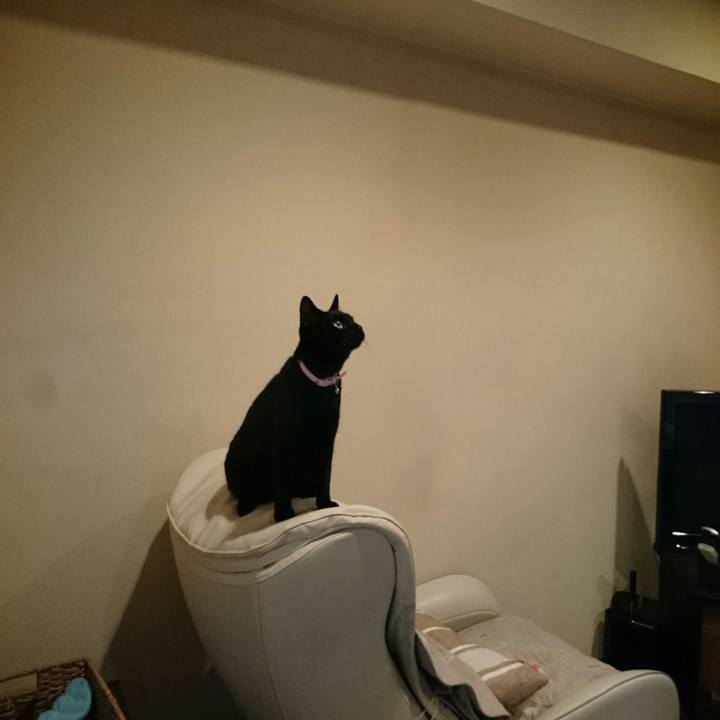 130a0fb0 59fb 452d 9f8c 59ae5ef0ad83 1525619321462