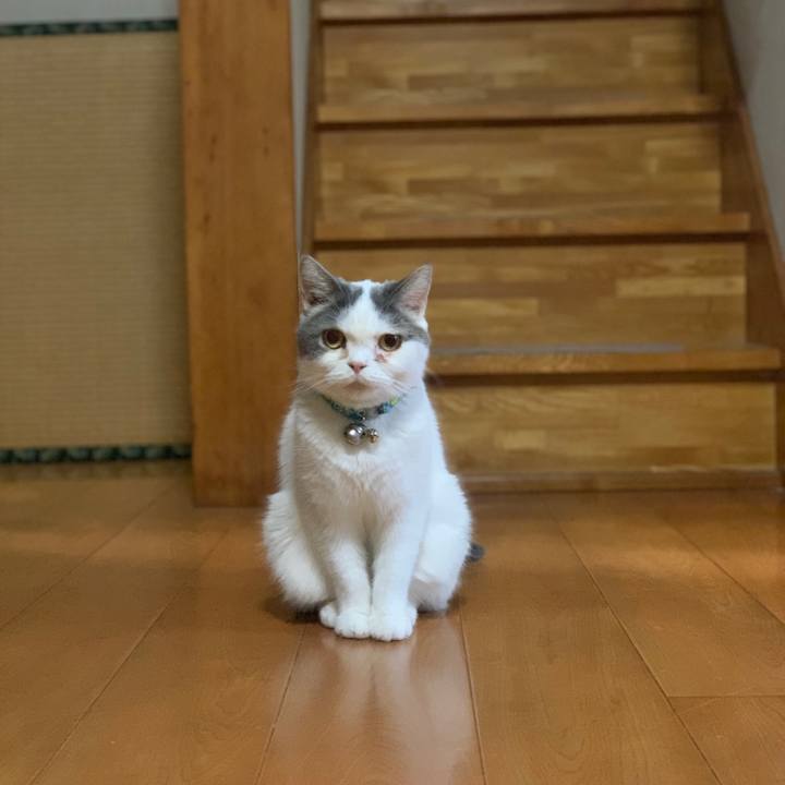 130a1d6a 3cf4 4c84 84b9 2339efa5d347 1698230243367