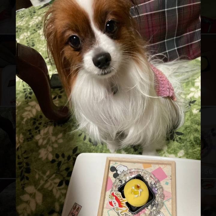 130a31a3 e04a 406a bc6f 9cf2d014670a 1640430950653