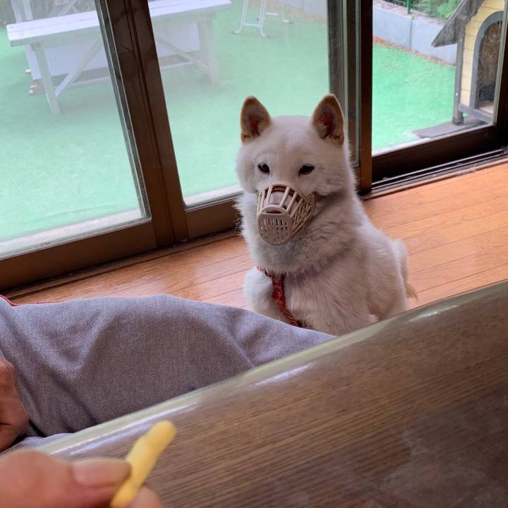 130a5826 917e 449b 9c3b fe9c30434d6f 1560548205193