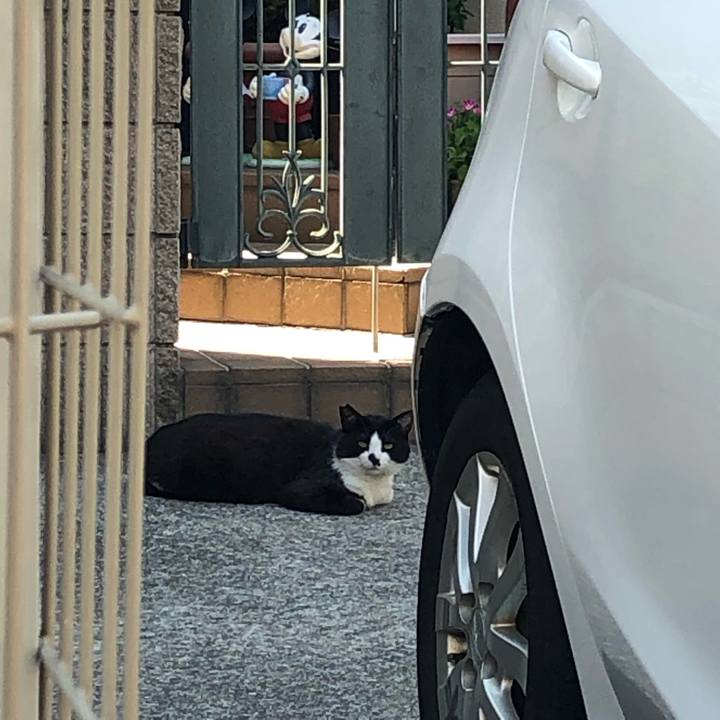 130a75ed 1c7a 4661 93ec 920e60b030d9 1560603790092