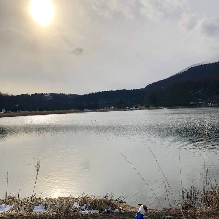 130a7c66 d5b8 46e4 b584 7f556bc67683 1545810322401