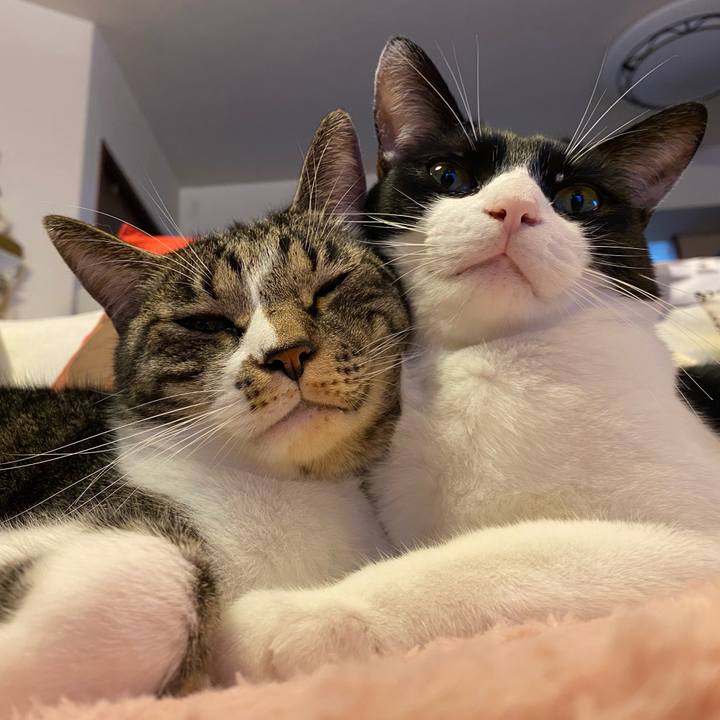 130aabc1 c5fd 4473 b4d5 6dfb6583e6de 1754898819682