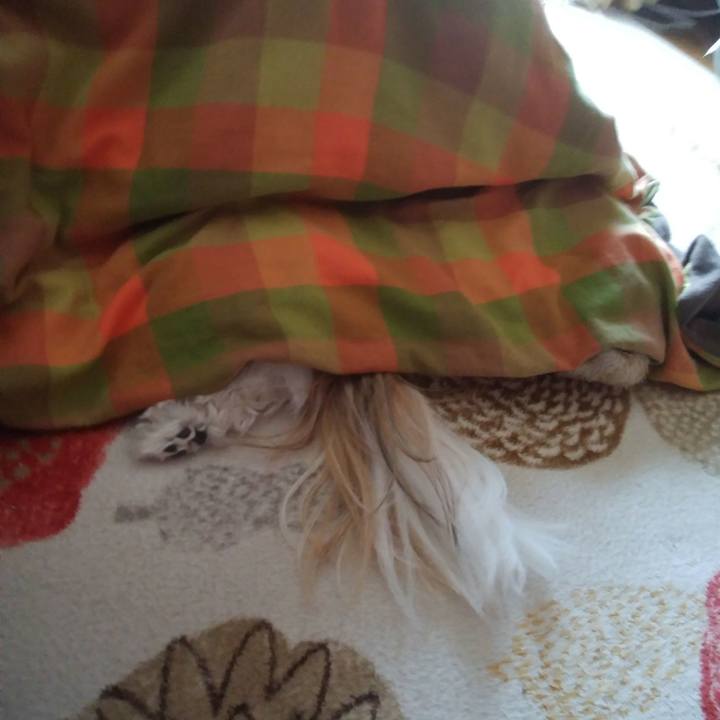 130ab65c f7c6 454f bfef a74ccecbcae5 1523487378311