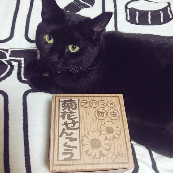 130accea 6866 40c1 919e fe083a82c0bb 1524482076581