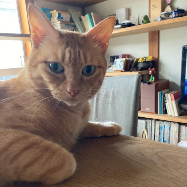 130afdd0 af22 48a0 b8d6 280ab8604174 1723933092982