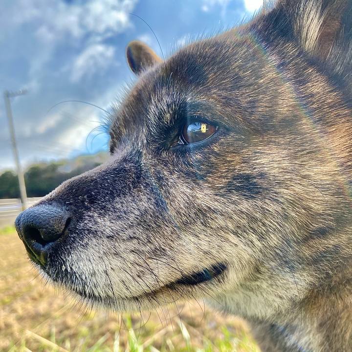 130b1983 d7f3 4aca 8432 4fa86348e1fb 1616471161988