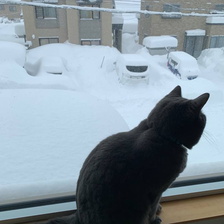 130b2104 cc5e 4ba9 b133 538b5861d7f0 1645572620931