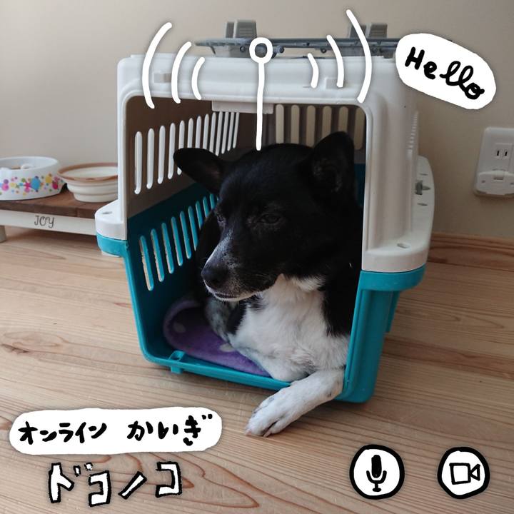 130b43e7 5a71 4f79 a626 da65ba56eb51 1591581813110