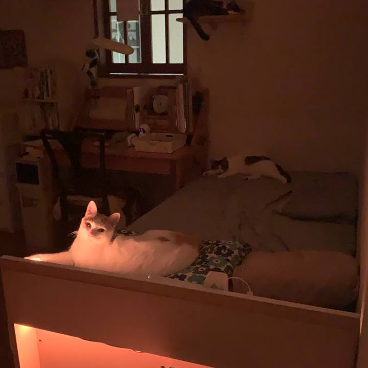 130ba2b7 e047 447b ba35 3c2b6ce751e8 1654179836128