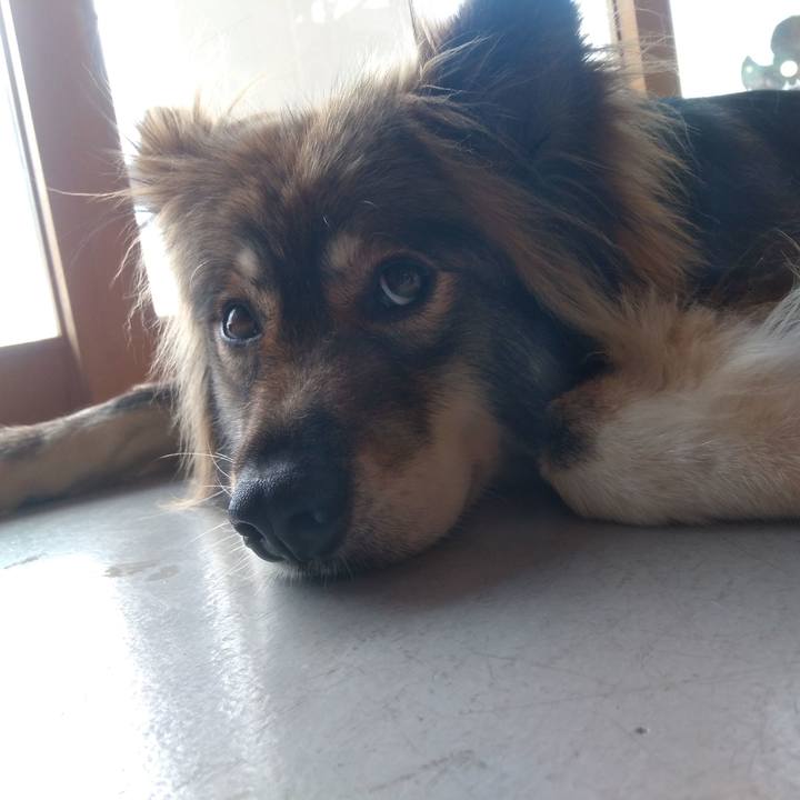 130bf223 2d17 42df 90cf 1cda9b7715b2 1597817642674