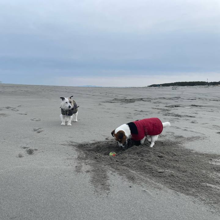 130c2841 bf9d 4fdd 83e8 bcbeb124a49e 1708818041774