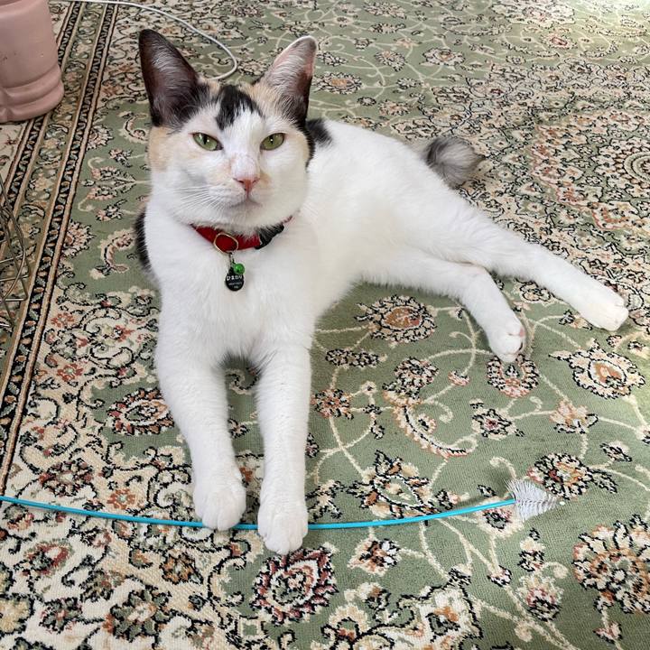 130c589e accb 4b30 9026 d2de458e1484 1726788196064