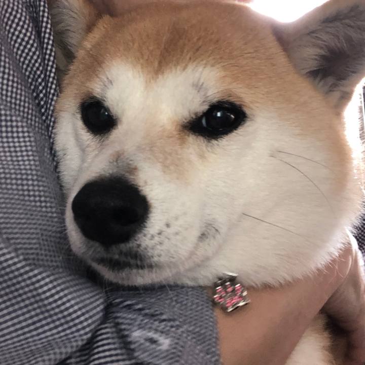 130c5be0 6641 443d a74e 2f54b9f9695a 1524458512408