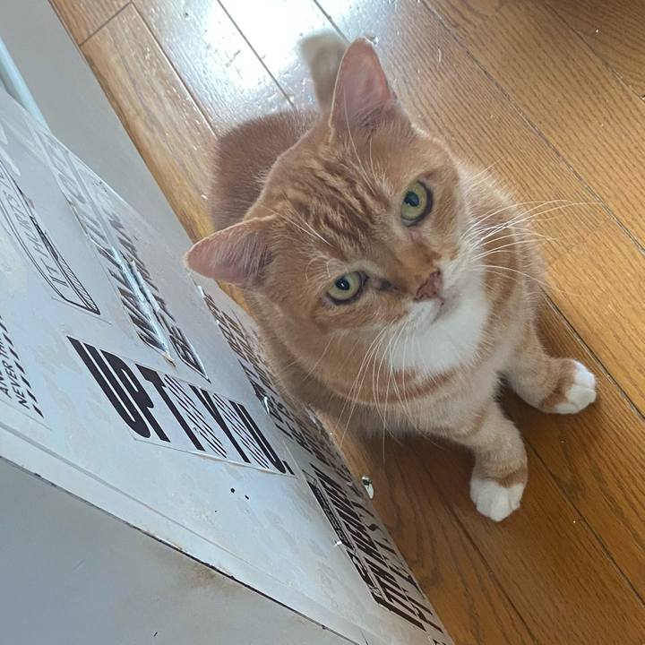 130c5e06 5f94 4a79 ae79 28b7883c132c 1694823277710