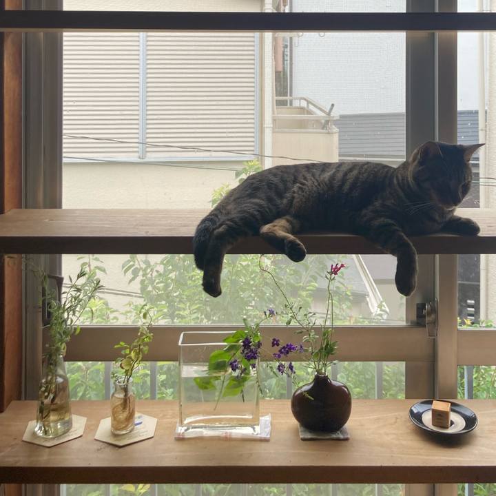 130c6b17 e30d 40be 83a5 8a208a2e7a95 1727597955778