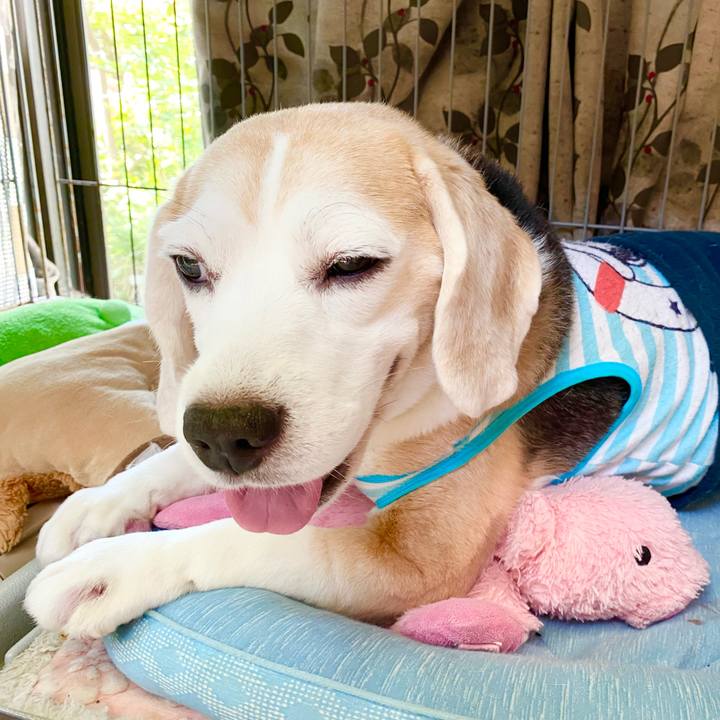 130ce7e3 6980 4aa8 81a6 4fdf6d8a91ea 1631684433191