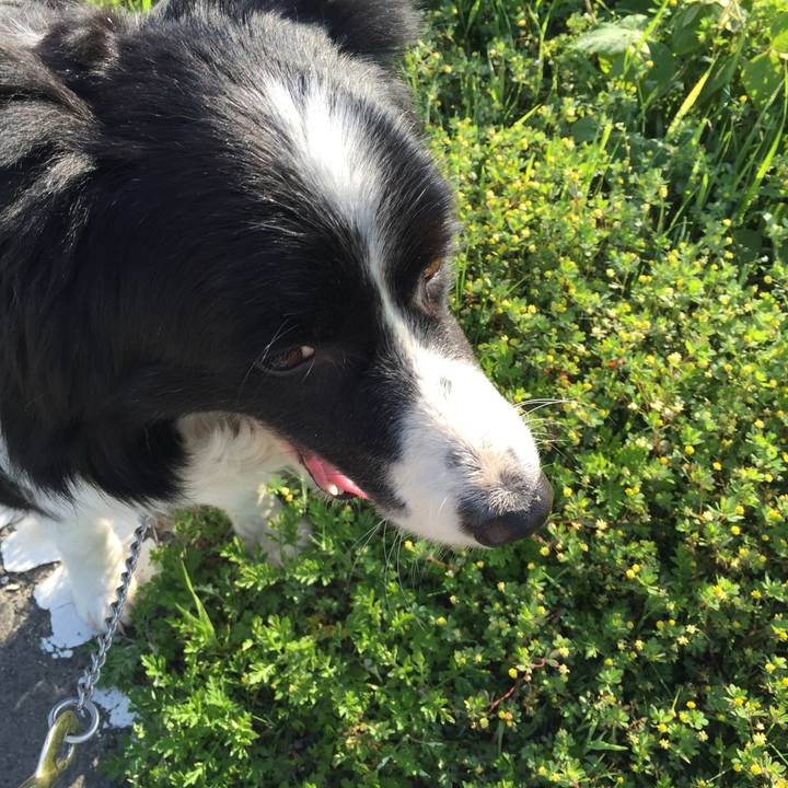 130d0b1c e39d 4c5d ae6c 1cf1b48c6a70 1524264528391