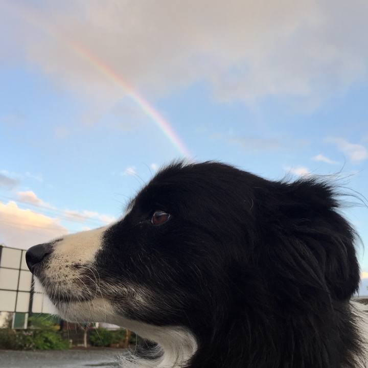 130d3620 a08a 4792 bac0 8f6ec136907e 1571955748947