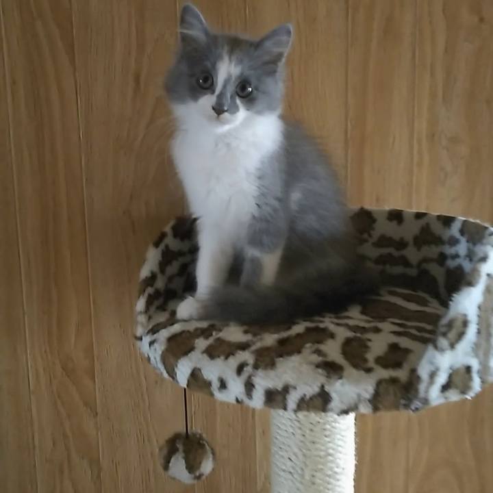 130d3aeb 27f5 4eb3 b3ca 877dcb24c750 1562885385667