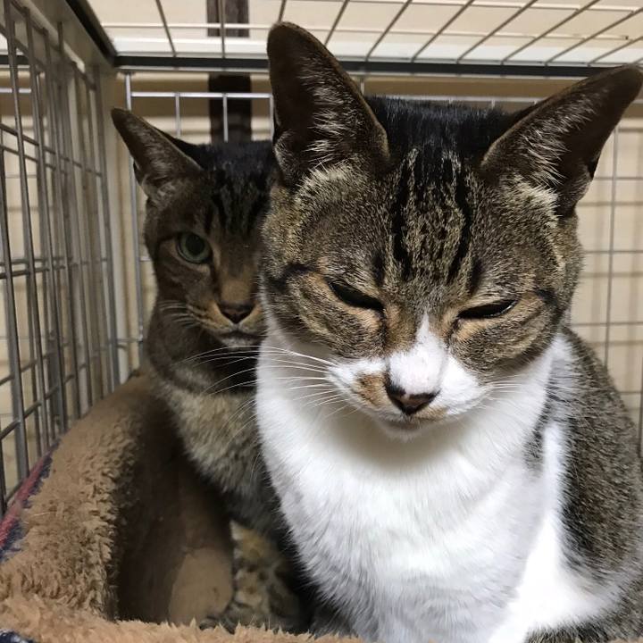 130d44ee a992 443b be39 9020491fb913 1517534975882