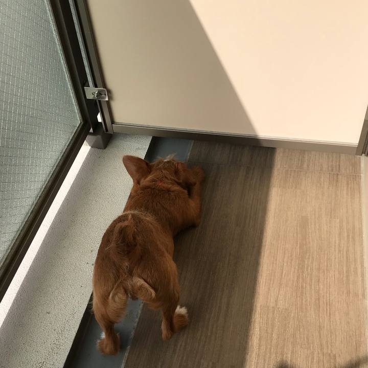 130d5e95 2701 4209 b742 120832884ff4 1527202682892