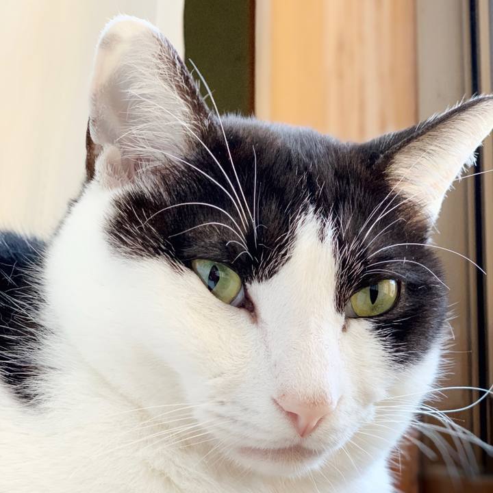 130d7d84 545d 40e6 8d61 fb351a5b33e4 1552962398350