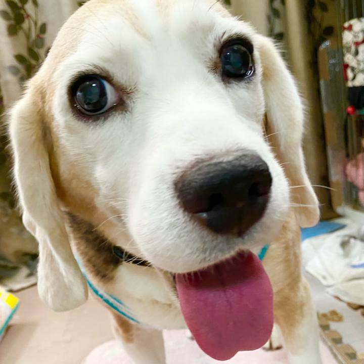 130d868e 2773 4416 bc37 be60b5776eca 1660709131455