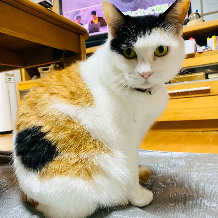 130d8a6f 250a 4407 bdb3 f2588f108857 1685233107052