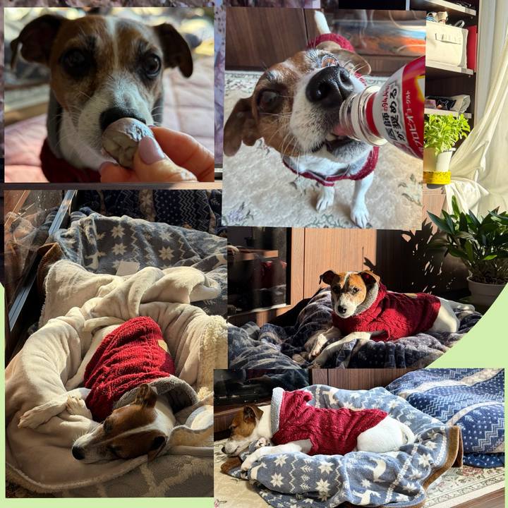 130d8dd6 ffeb 4031 a0d4 f117d3e084ab 1766800162609