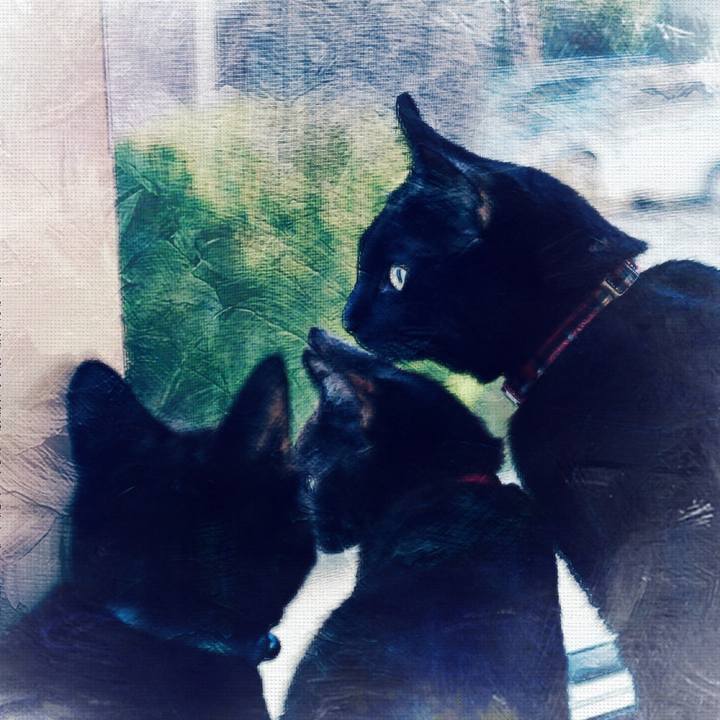 130d9098 8cd9 46f5 a2ab 80884eb0eacd 1510285611117