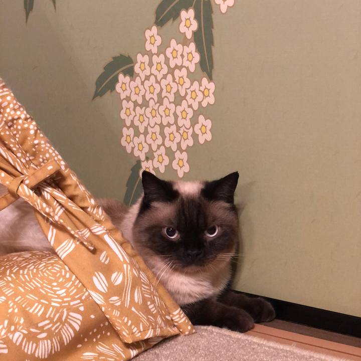 130d92f8 f2b8 4f94 aafc 7b7a4cd7b178 1627088326051