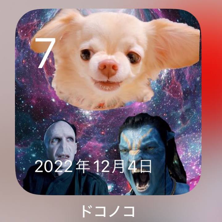 130da131 56a3 4f2c bc62 64ca4d117358 1701946955448