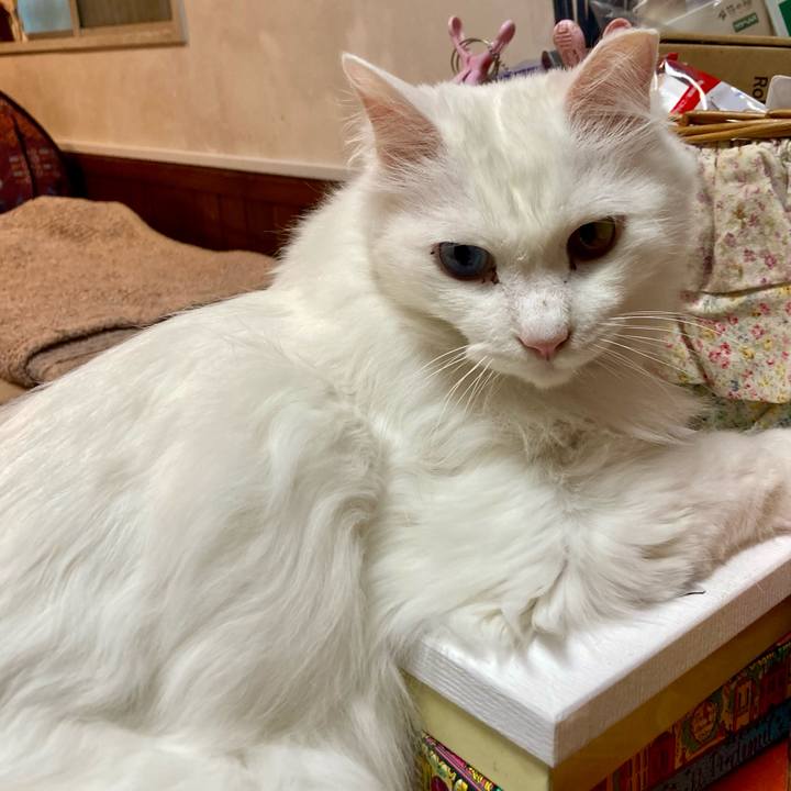 130db6e6 e24e 4567 9c02 fa5f0f7150bf 1715264211349