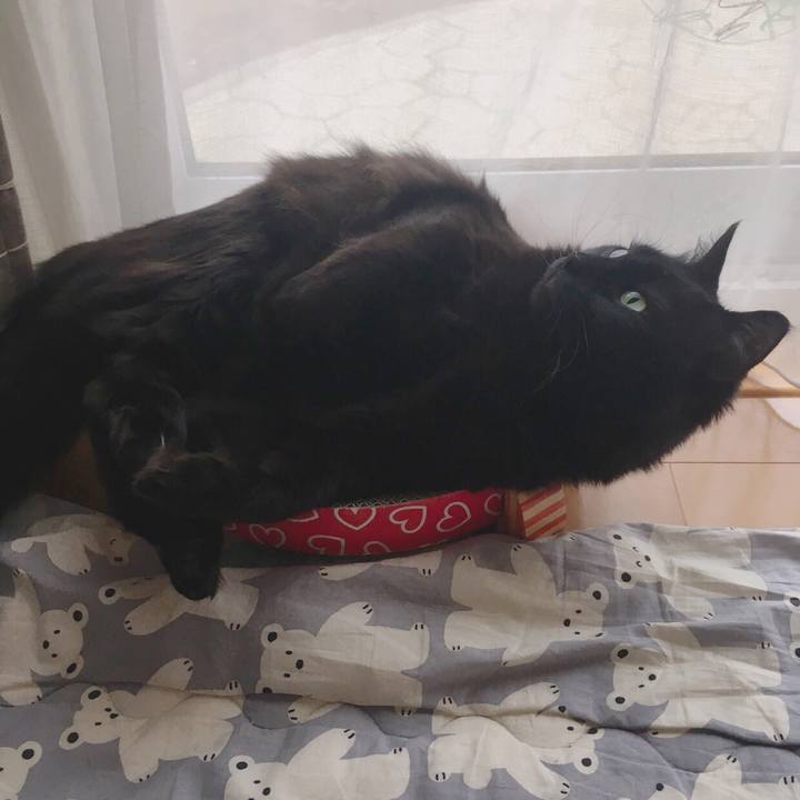 130e0ea1 06a4 4a60 914b 1908bef46610 1524529005768